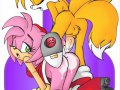 toon_1240062063639_247087_-_Amy_rose_Sonic_Team_Tails.jpg